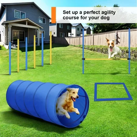 Complete Dog Agility Training Set